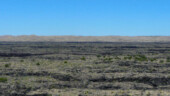 <b>Lava Field - </b>When you get close to Valley Of Fire State Park outside of Carrizozo, NM you notice the dessert floor looks darker than the surrounding land, almost like there is a big cloud in the sky, but there are none, it is the lava covered in desert vegetation. (04/20/09) Lava Field