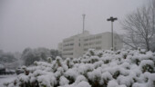 <b>Aiken Regional Medical Center</b> - The snow started falling Friday afternoon. Aiken-Regional-Medical-Center