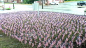 Saluda County Mememorial Day Tribute