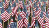 Saluda County Mememorial Day Tribute