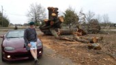This was the biggest tree we saw that was felled by the Big Ice Storm of '14. (2/23/14) Sneak Peek Photo 1B
