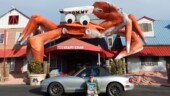 <b>Astrological Signs 04: </b>Cancer the Crab. Cancer is the only astrological sign in Crystal Lake Mobile Home Park in Myrtle Beach, SC that doesn't have a street named after it. (3/31/2018)