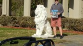 <b>Astrological Signs 05: </b>Leo the Lion. Every United House of Prayer for All People we have ever seen has two stone lion statues outside the entrance doors. We found this one in Abbeville, SC. (4/3/2018)