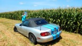 <b>Corn Field: </b>I really wanted to get a running start and crash into a row of corn and getting the Miata a full car length in for the photo, but my wife wisely talked me into just parking along side the field. (6/29/18)
