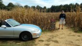 <b>Corn Maze: </b>A low key corn maze at a small dairy farm north of Edgefield, SC is only open for business on Tuesdays in October. (10/19/18)