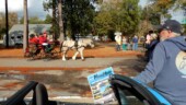<b>Horse Drawn Carriage: </b>From the annual Hoofbeats and Christmas Carols Parade in town. They invite horse drawn carriages, horseback riders and walkers with dogs to parade a short mile or so through downtown Aiken, making a couple stops to entertain the gathered crowds. (12/15/18)