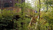 <b>Treehouse: </b>Unit 1, "White Pine", of the Rivers Edge Treehouse Resort in Robbinsville, NC. We are thinking that next spring we just might stay here instead of the Quality Inn, nee Microtel Inn, that is our usual home away from home when driving the dragon. (9/22/18)