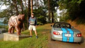<b>Wild Animal Statue or Sculpture: </b>Me, a Miata and a life-size bear at the entrance road to the now closed Junaluska Museum in Robbinsville, NC.(9/22/18)