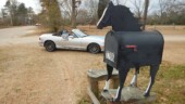 <b>Unusual Mailbox:</b>As befitting Aiken County's being the home of wintering thoroughbred horses and many equine activities, this mailbox is perfectly unexpected, but for some reason this is the only one we've seen like it around. (2/1/18)