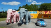 <b>Bet You've Never Seen This Before #3: </b>I'm not sure what the connection is between pachyderm and fireworks, but there are two of them outside this place in Hardeeville, SC. and they are called Thelma & Louise http://tinyurl.com/yyed37lm (4/21/19)